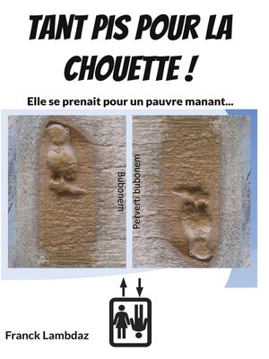 cover image of Tant pis pour la chouette !